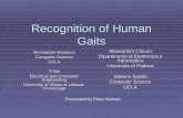 Recognition of Human Gaits