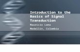Introduction to the Basics of Signal Transduction