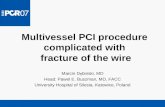 Multivessel PCI procedure complicated with  fracture of the wire