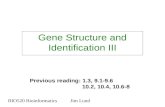 Gene Structure and Identification III