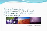 Developing a National Tribal Climate Change Strategy