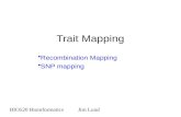Trait Mapping