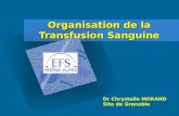 Organisation de la Transfusion Sanguine