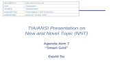 TIA/ANSI Presentation on New and Novel Topic (NNT)