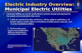 Electric Industry Overview: Municipal Electric Utilities