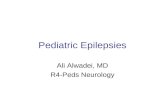 Pediatric Epilepsies
