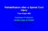 Rehabilitation after a Spinal Cord Injury