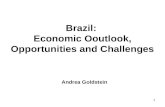 Brazil:  Economic Ooutlook, Opportunities and Challenges