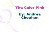The Color Pink by: Andrea Chouhan