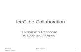 IceCube Collaboration
