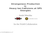 Strangeness Production in  Heavy Ion Collisions at SPS Energies