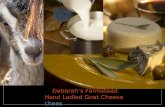 Deborah’s Farmstead Hand Ladled Goat Cheese chees