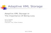 Adaptive XML Storage