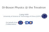 Di-Boson Physics @ the Tevatron