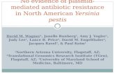 No evidence of plasmid-mediated antibiotic resistance in North American  Yersinia pestis