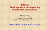 PAML: Phylogenetic Analysis by Maximum Likelihood