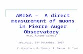 AMIGA –  A direct measurement of muons in Pierre Auger Observatory