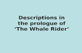 Descriptions in the prologue of ‘The Whale Rider’