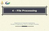 4 – File Processing