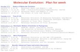 Molecular Evolution:  Plan for week