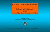 Linear Collider Detector Calorimeter Issues  and Possible Directions for R&D