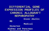 DIFFERENTIAL GENE EXPRESSION PROFILES OF  CHRONIC ALLOGRAFT NEPHROPATHY