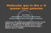 Molecular gas in the z~6 quasar host galaxies