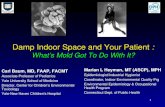 Damp Indoor Space and Your Patient  : What’s Mold Got To Do With It?