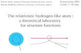The relativistic hydrogen-like atom : a theoretical laboratory  for structure functions