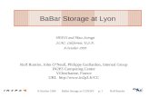 BaBar Storage at Lyon