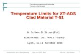 Temperature Limits for XT-ADS Clad Material T-91 M. Schikorr D. Struwe (FzK)
