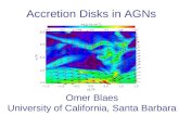 Accretion Disks in AGNs