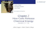 Chapter 7  How Cells Release  Chemical Energy (Sections 7.1 - 7.4)