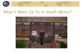 What’s Mary Up To in South Africa?