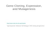 Gene Cloning, Expression, and Mutagenesis