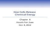 How Cells Release  Chemical Energy
