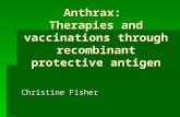 Anthrax:  Therapies and vaccinations through recombinant protective antigen
