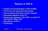 Physics at NICA