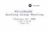 MicroBooNE  Working Group Meeting