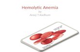 Hemolytic Anemia by Areej T.Kadhum