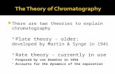 The Theory of Chromatography