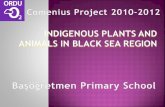 INDIGENOUS PLANTS AND ANIMALS IN  black sea region