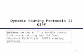 Dynamic Routing Protocols II OSPF