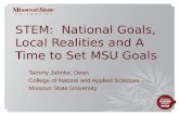 STEM:  National Goals, Local Realities and A Time to Set MSU Goals