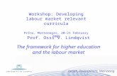 Prof. Ossi V. Lindqvist The framework for higher education and the labour market