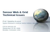 Sensor Web & Grid Technical Issues