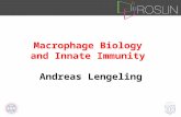 Macrophage Biology  and Innate Immunity Andreas Lengeling