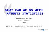 WHAT CAN WE DO WITH  PATENTS STATISTICS?