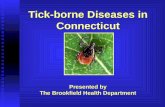 Tick-borne Diseases in Connecticut