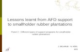 Lessons learnt from AFD support to smallholder rubber plantations